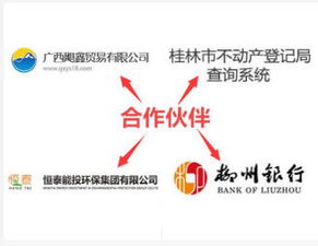 计算机科技综合服务 从开发到集成与安全的全面解决方案